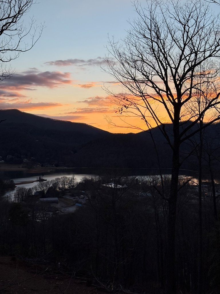 Lot 7 Whiskey Mountain Estates Property Photo 6