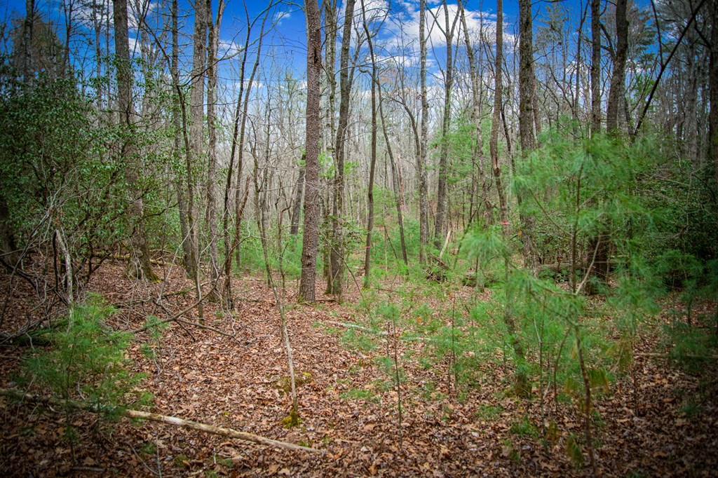 0 Seneca Drive Property Photo 38