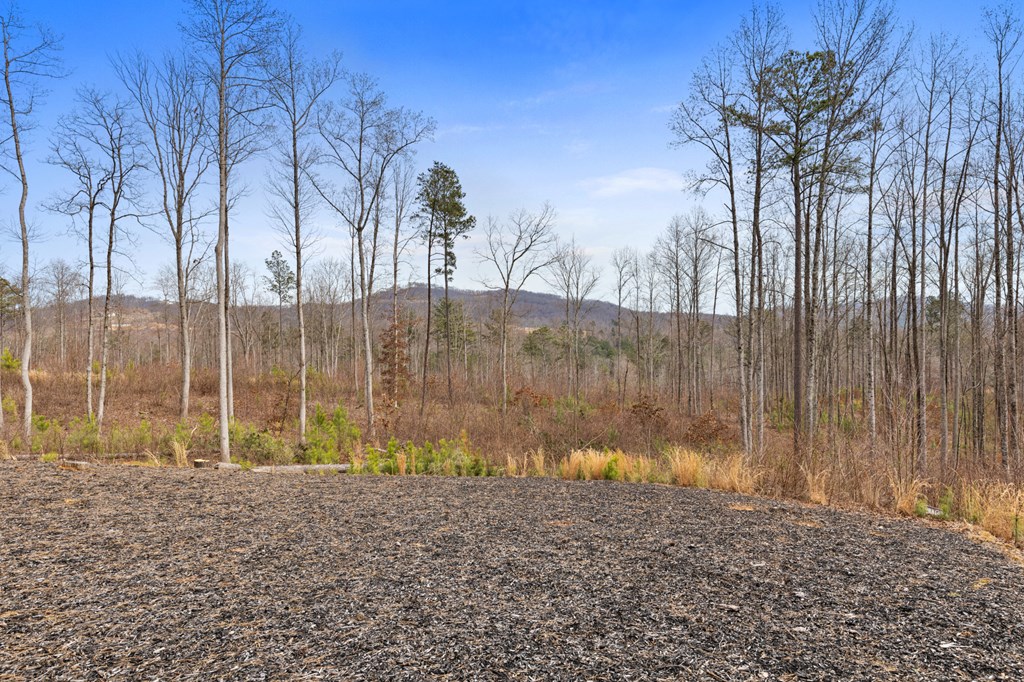 1281 Twisted Oak Road Property Photo 26