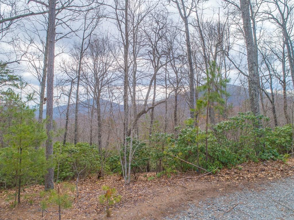 Lot 33 Laurel Brooke S/D Property Photo 1