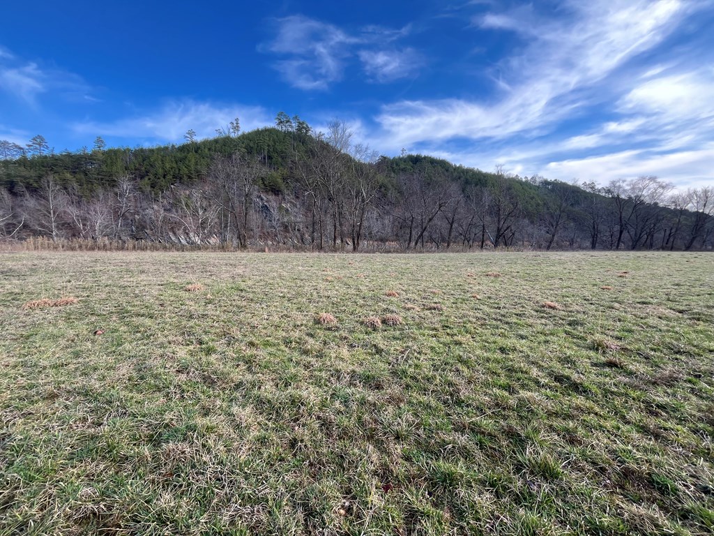 428458 Property Photo 4