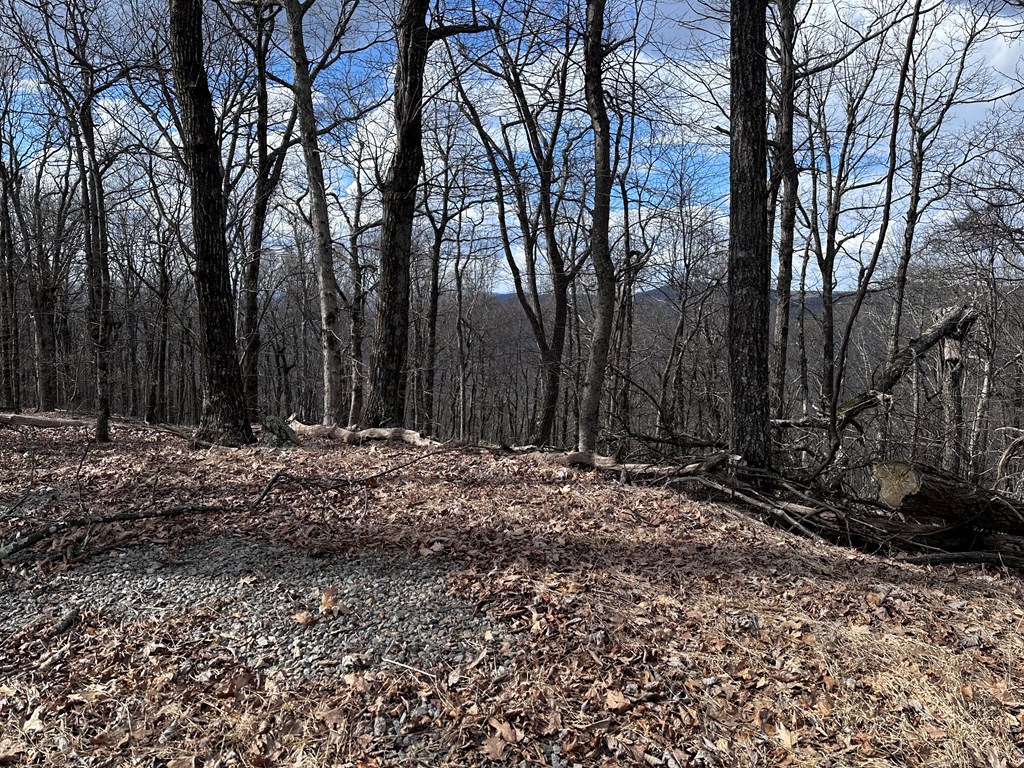 Trct C Old A T Approach Trail Property Photo 19