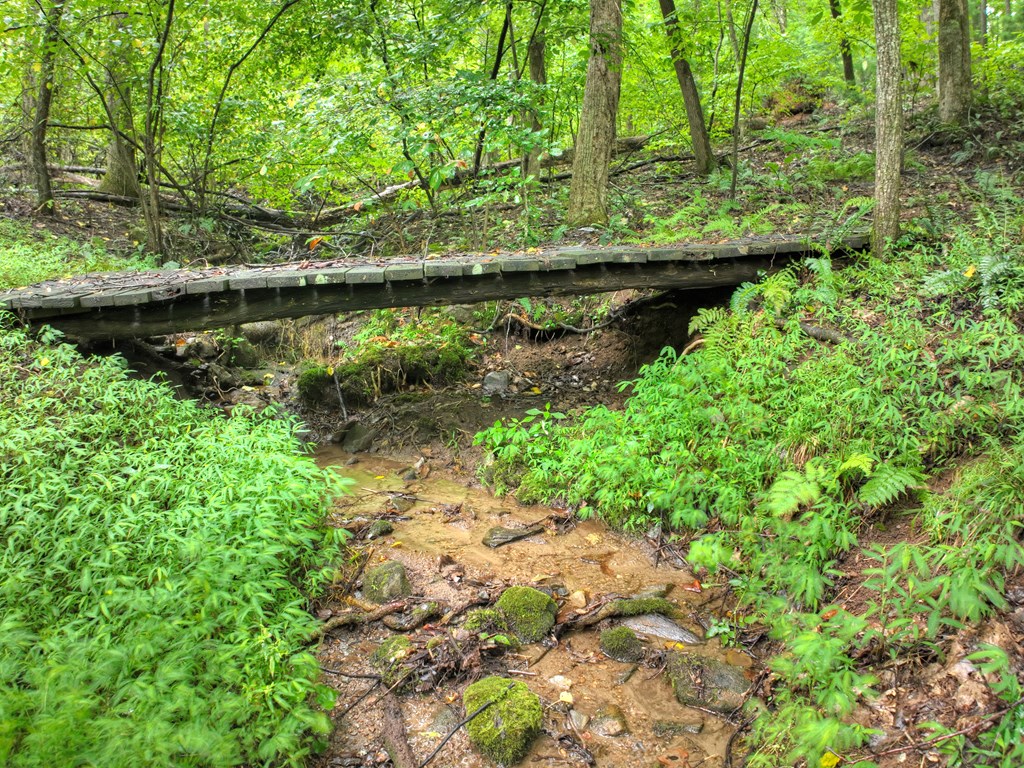 430 Chestnut Ridge Property Photo 3
