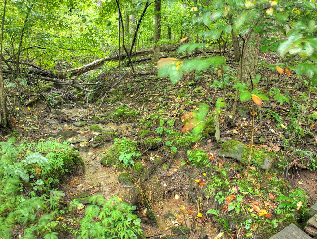 430 Chestnut Ridge Property Photo 35