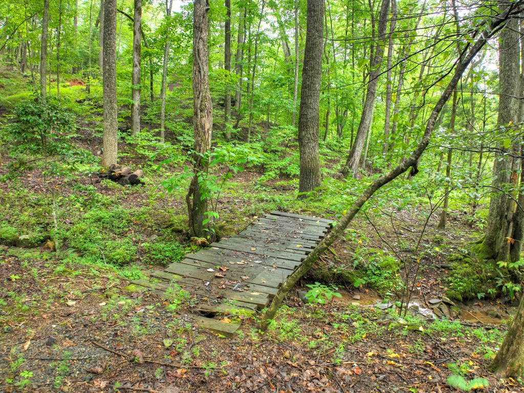 430 Chestnut Ridge Property Photo 37