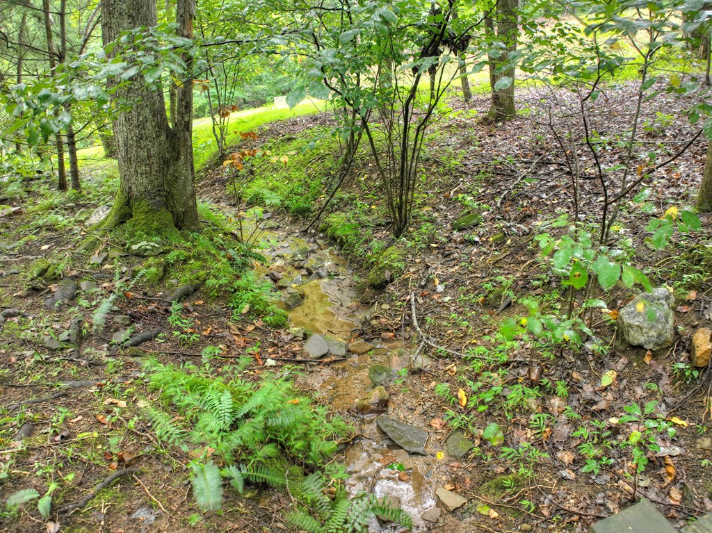430 Chestnut Ridge Property Photo 38