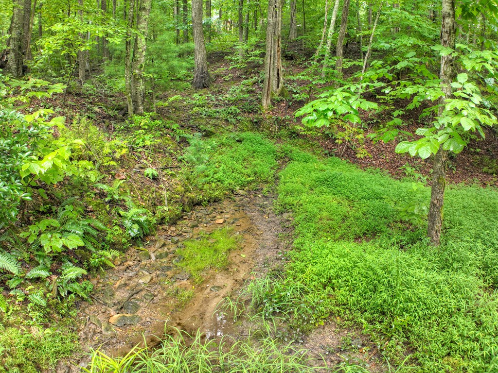 430 Chestnut Ridge Property Photo 39