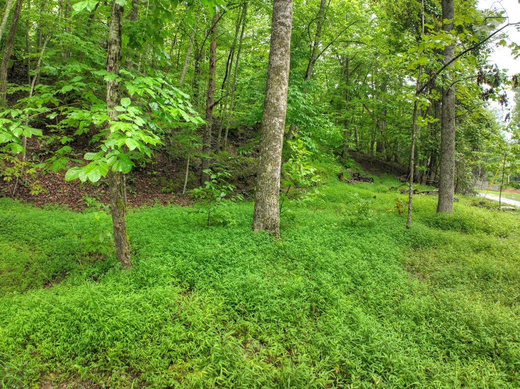 430 Chestnut Ridge Property Photo 40