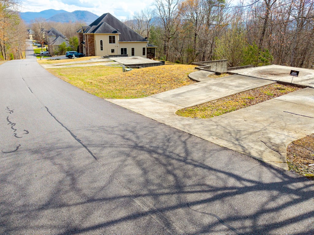 Tbd Licklog Ridge Property Photo 6
