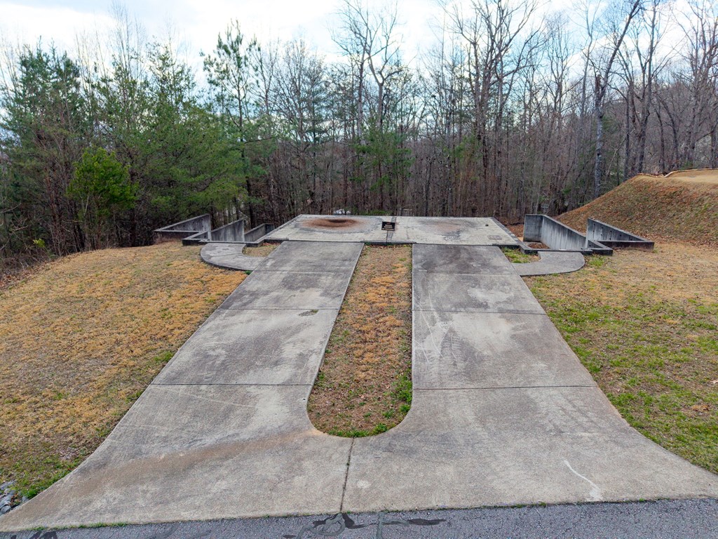 Tbd Licklog Ridge Property Photo 13
