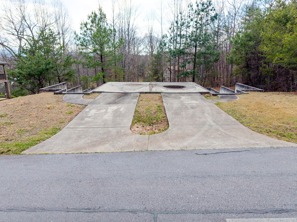 Tbd Licklog Ridge Property Photo 16