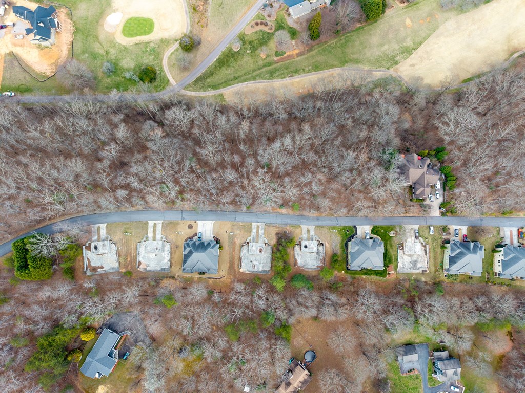 Tbd Licklog Ridge Property Photo 19