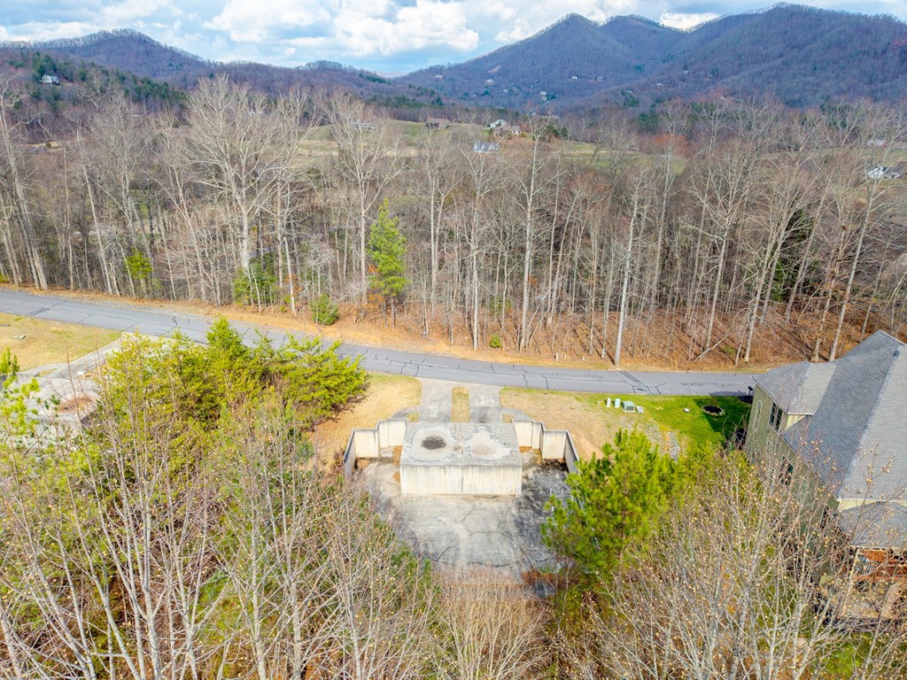 Tbd Licklog Ridge Property Photo 21