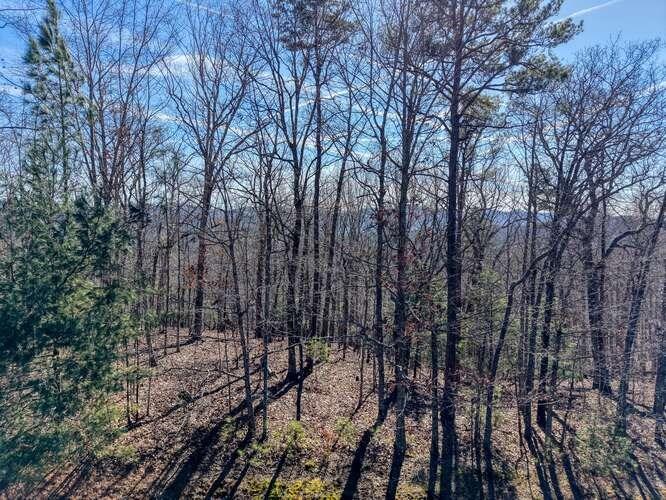 Lot 61 Thirteen Hundred Property Photo 1