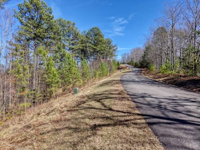 Lot 61 Thirteen Hundred Property Photo 5