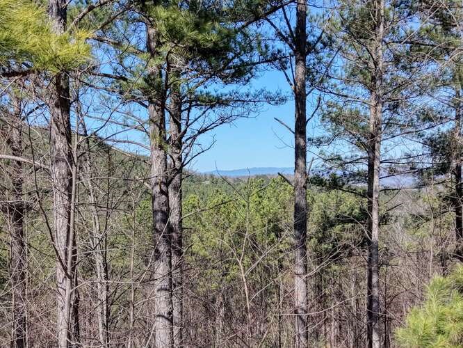 Lot 61 Thirteen Hundred Property Photo 9