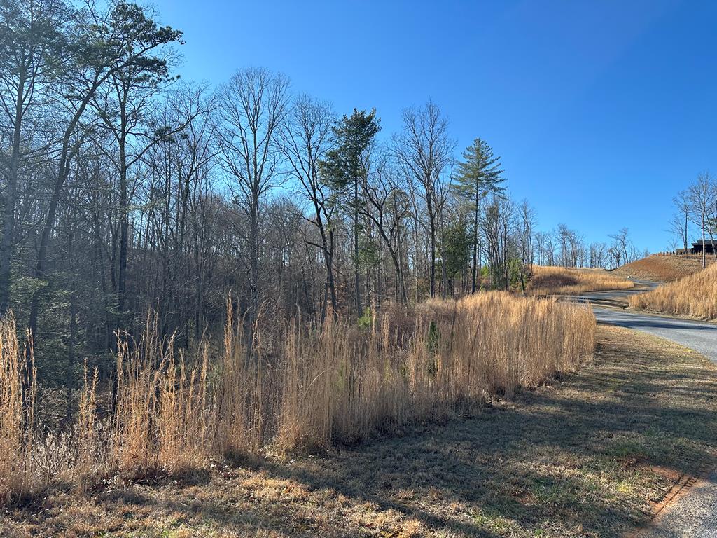 77 River Overlook Lane S Property Photo 1