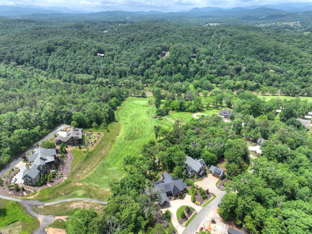 658 Old Toccoa Loop Property Photo 69