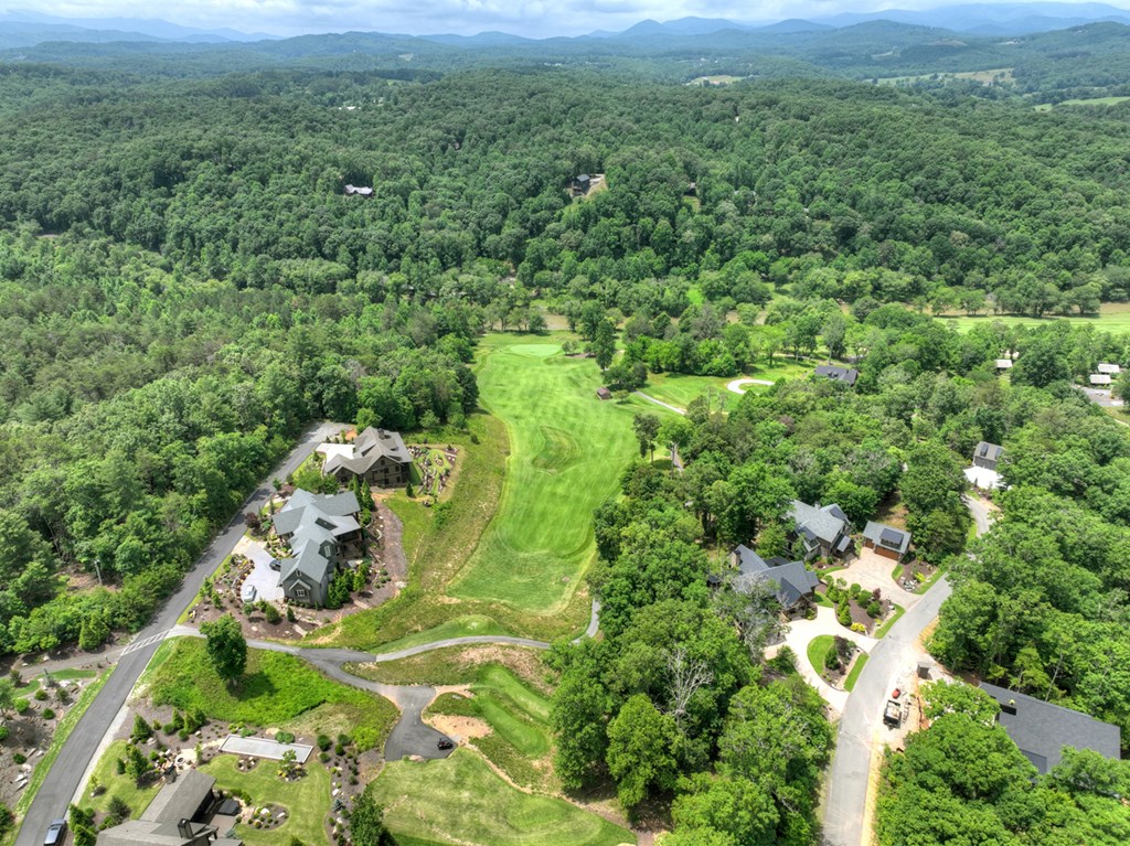 658 Old Toccoa Loop Property Photo 70