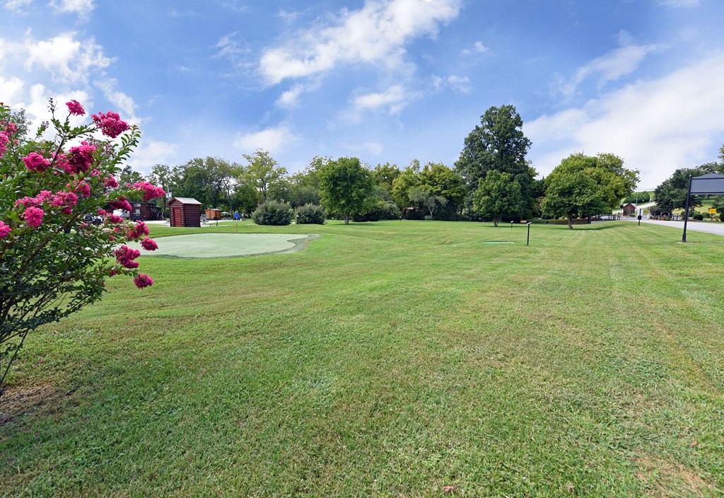 221 Golden Nugget Property Photo 28
