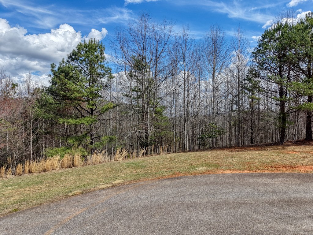 Lot 72 Summit Trace Property Photo 4