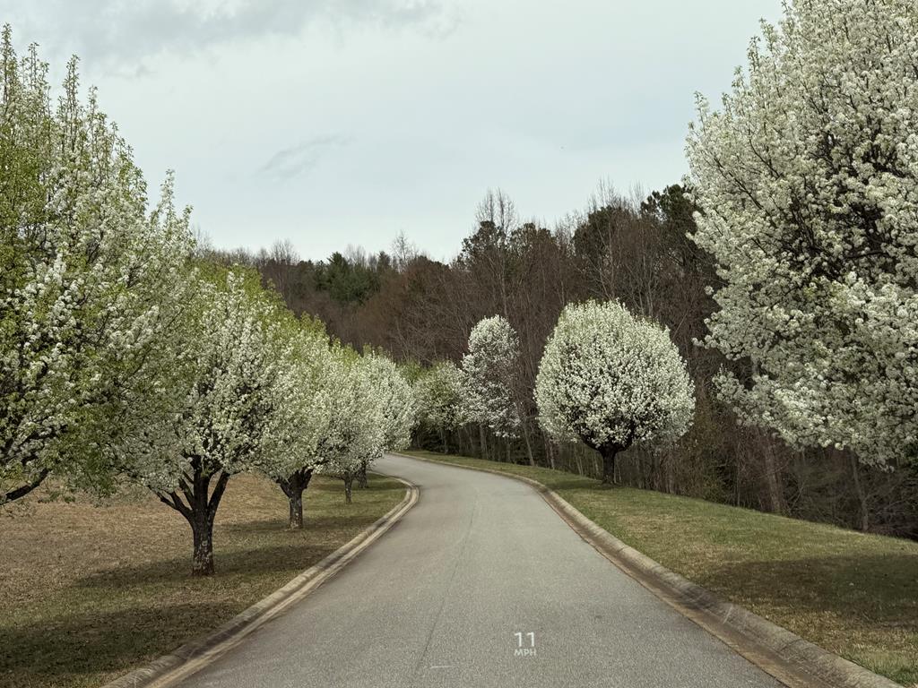 Lot 72 Summit Trace Property Photo 13
