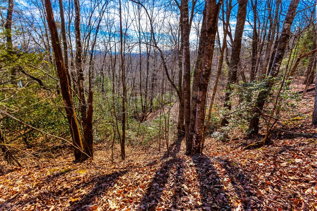 Tbd W Hills Drive Property Photo 6