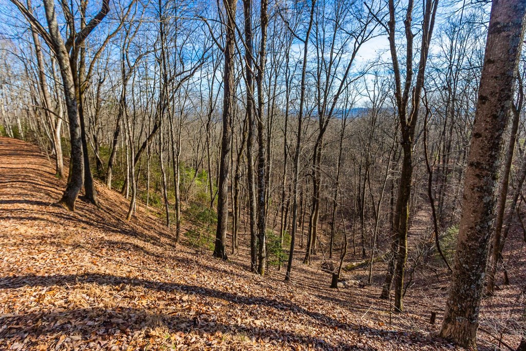 Tbd W Hills Drive Property Photo 7