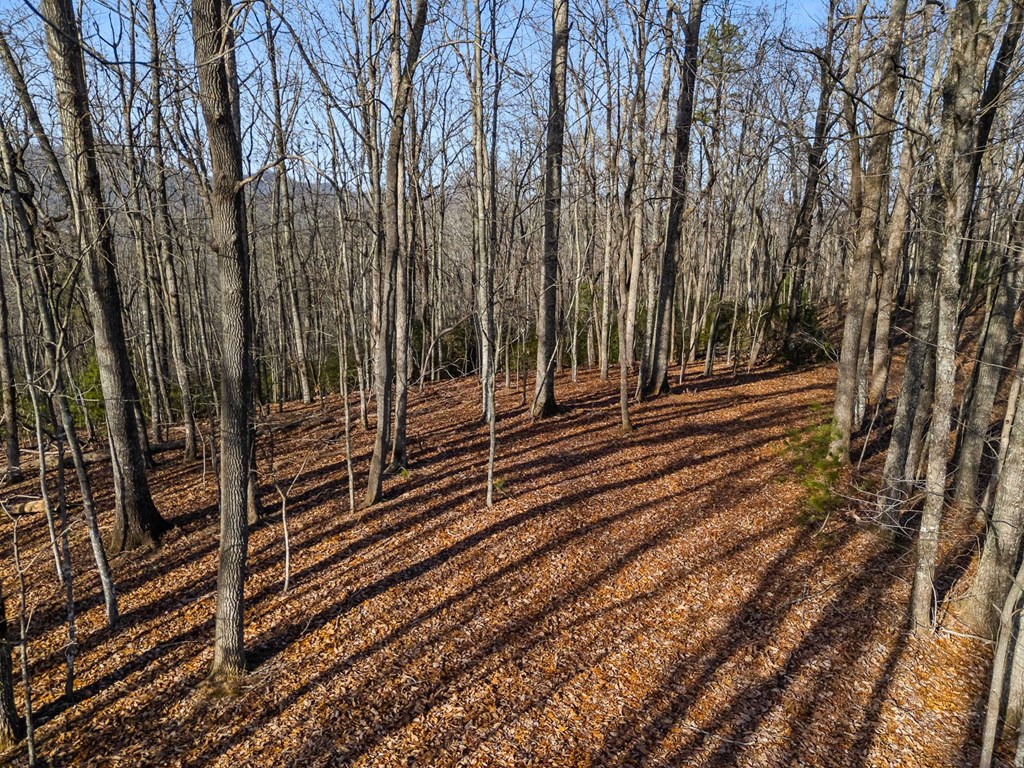 Tbd W Hills Drive Property Photo 9
