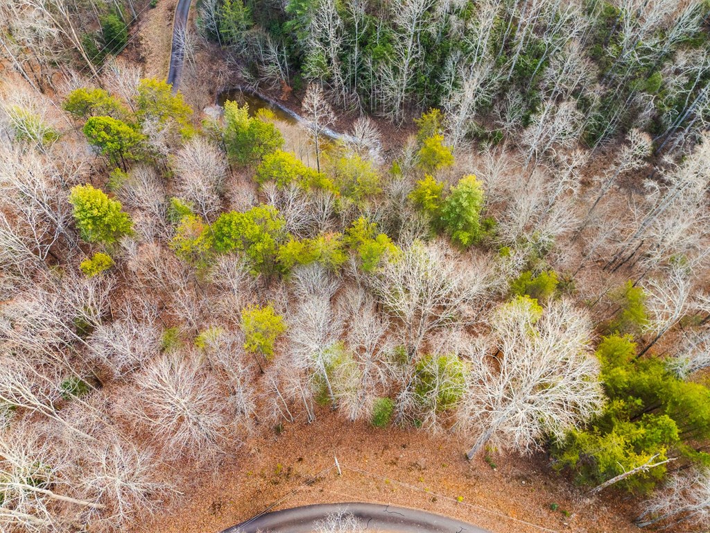 Tbd W Hills Drive Property Photo 10