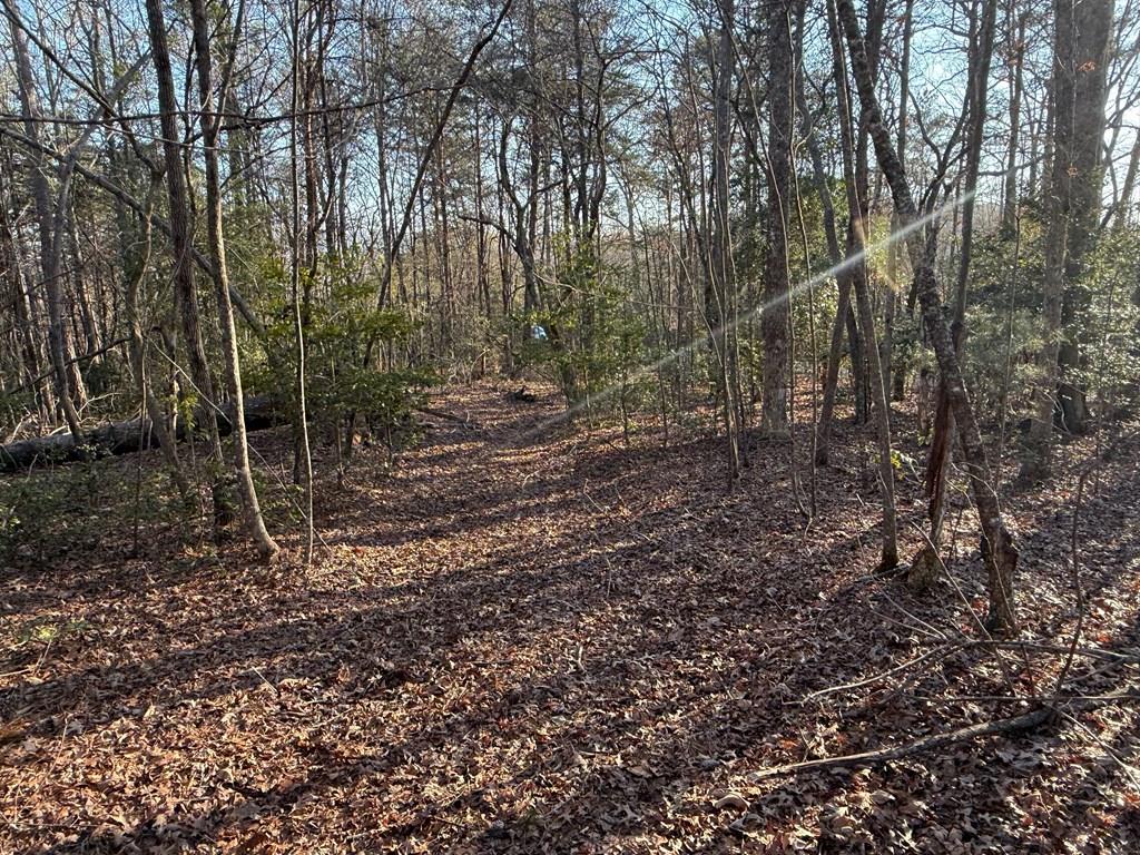 Lot 4 Willow Ridge Property Photo 1