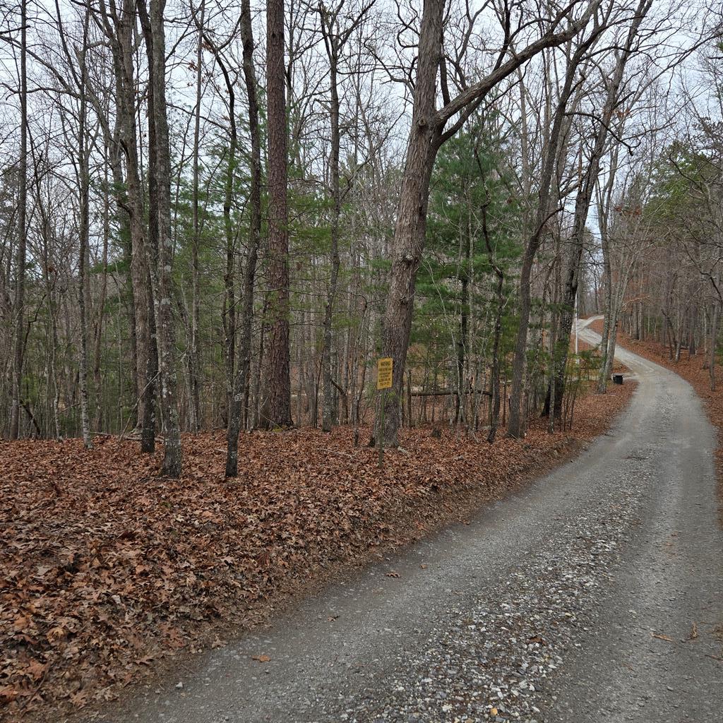 8.5 Blue Berry Ridge Property Photo 1