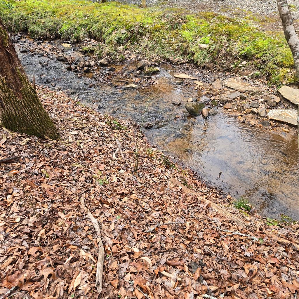 8.5 Blue Berry Ridge Property Photo 3