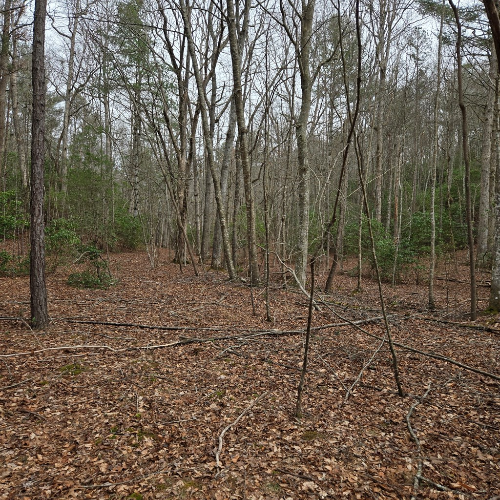 8.5 Blue Berry Ridge Property Photo 4