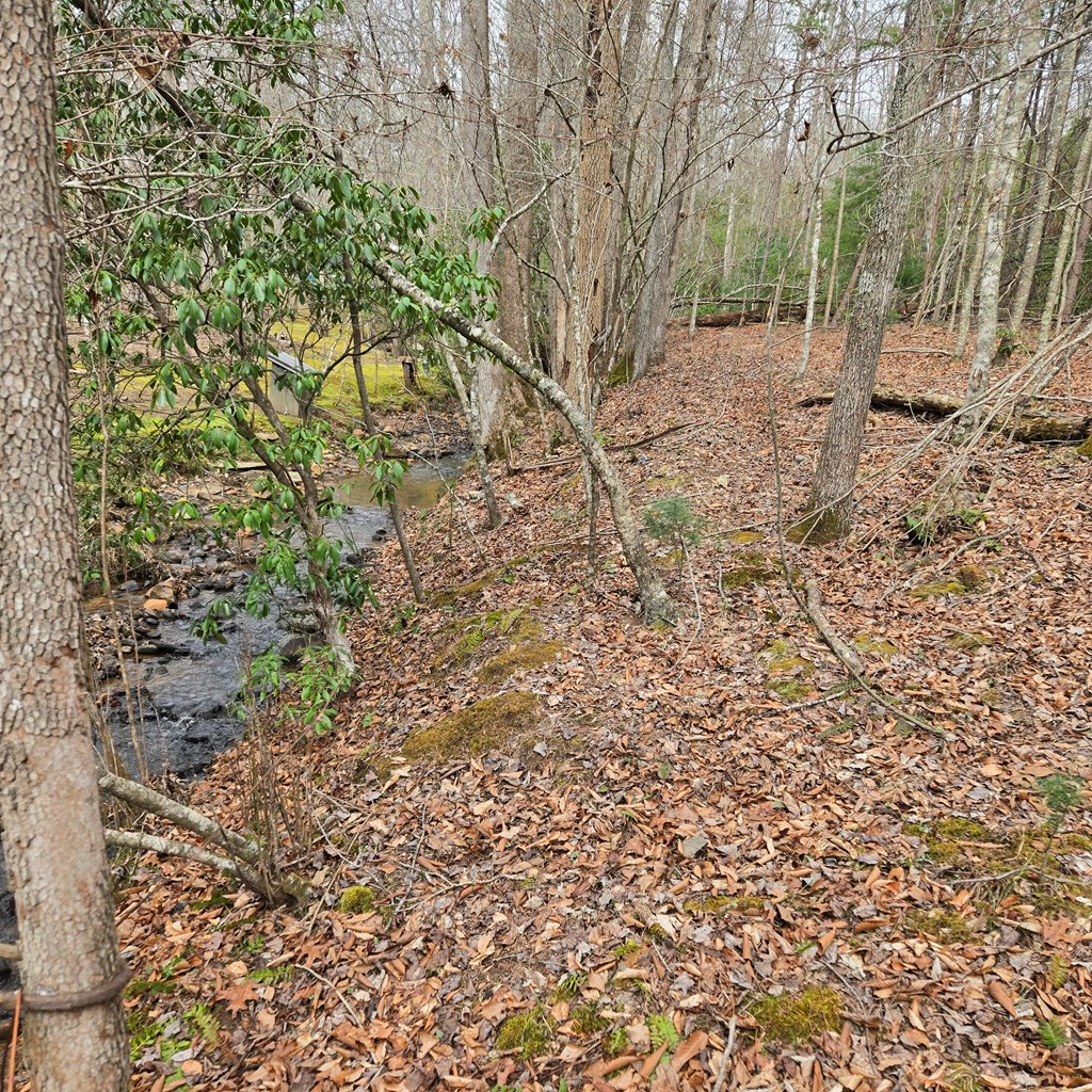 8.5 Blue Berry Ridge Property Photo 5