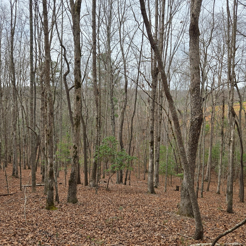 8.5 Blue Berry Ridge Property Photo 7