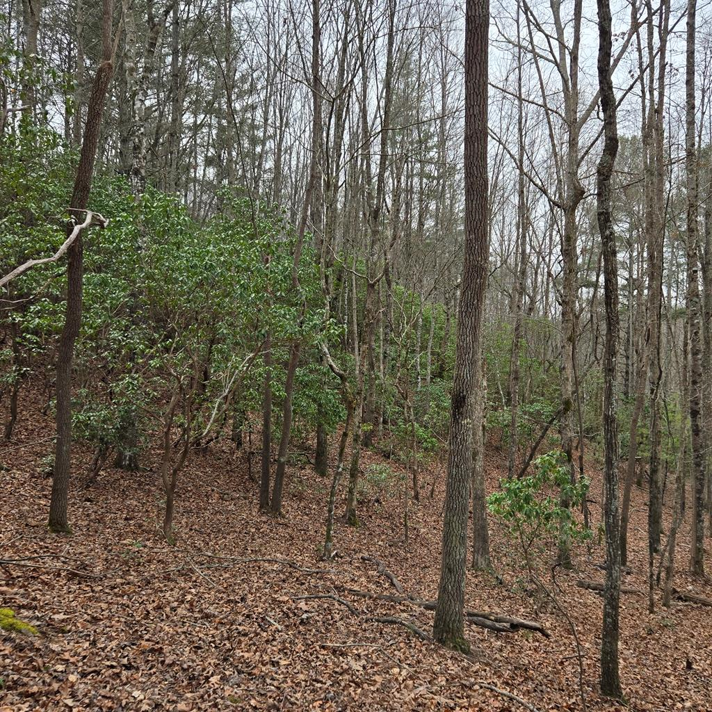 8.5 Blue Berry Ridge Property Photo 8