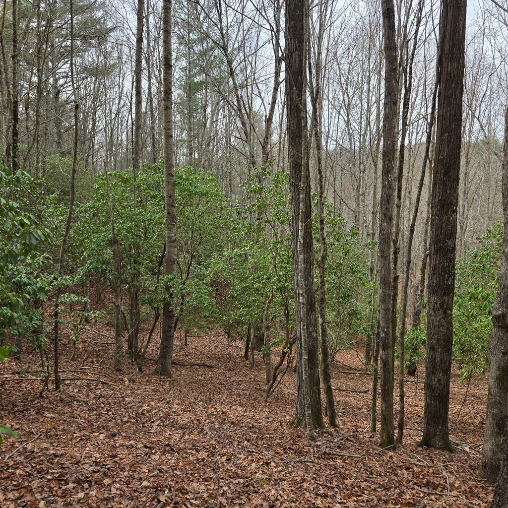 8.5 Blue Berry Ridge Property Photo 11