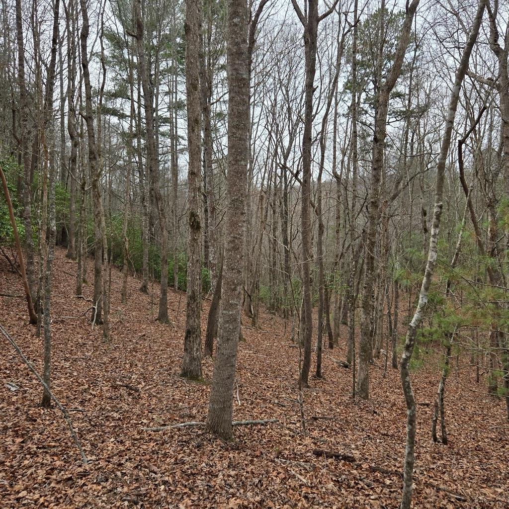 8.5 Blue Berry Ridge Property Photo 12