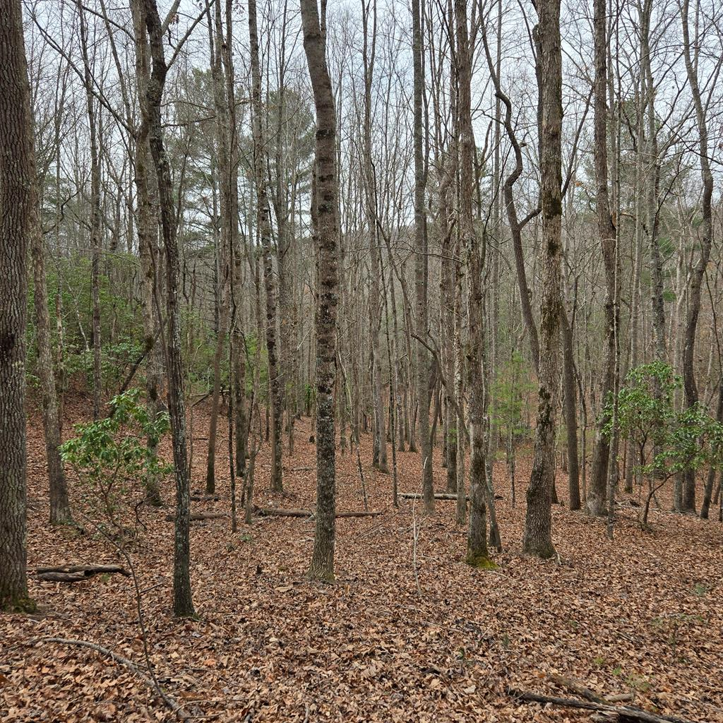 8.5 Blue Berry Ridge Property Photo 13