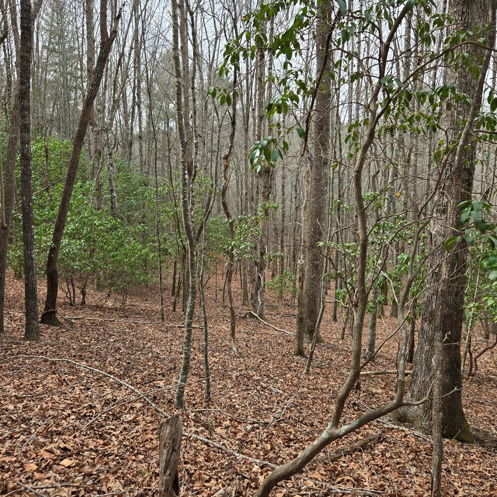 8.5 Blue Berry Ridge Property Photo 14