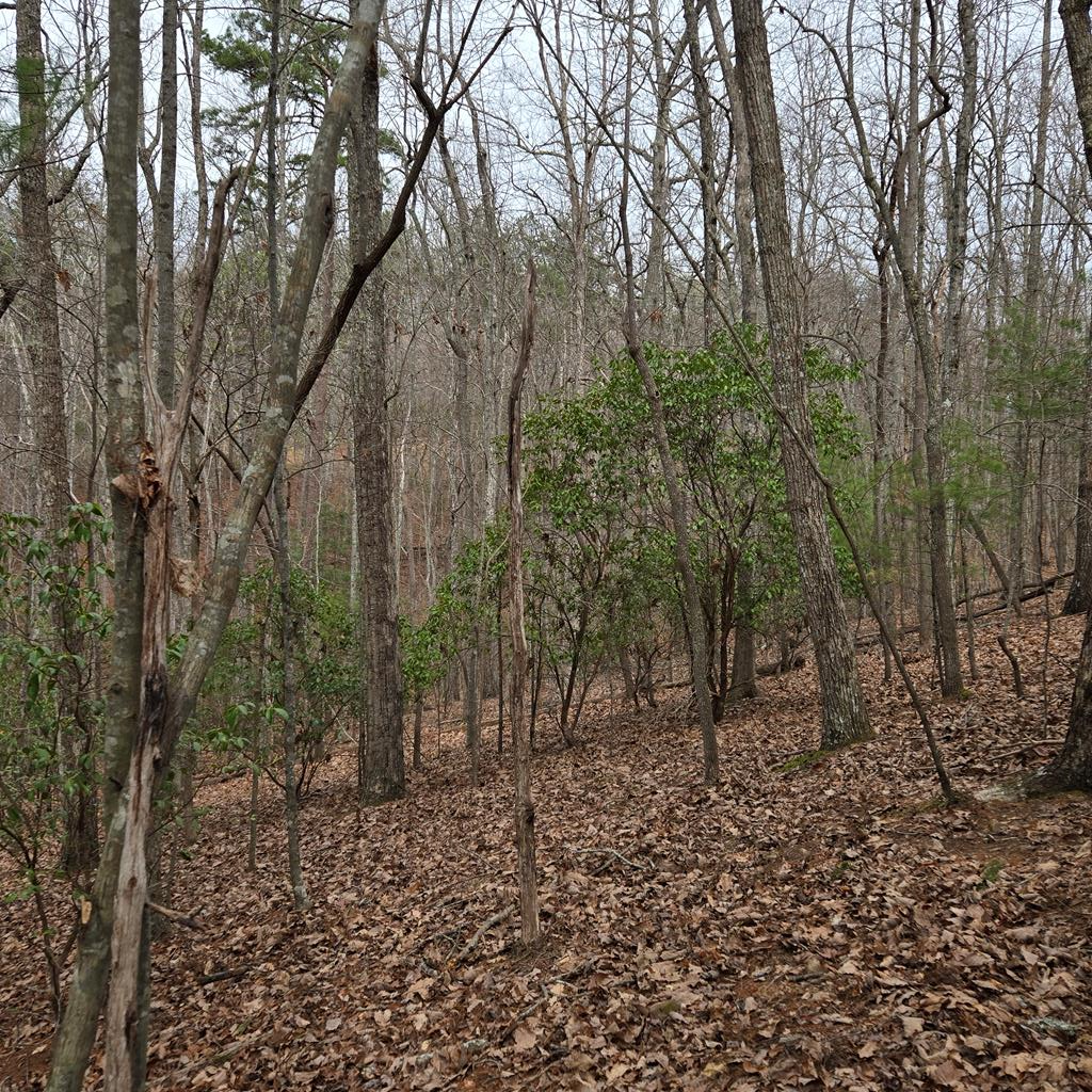 8.5 Blue Berry Ridge Property Photo 16