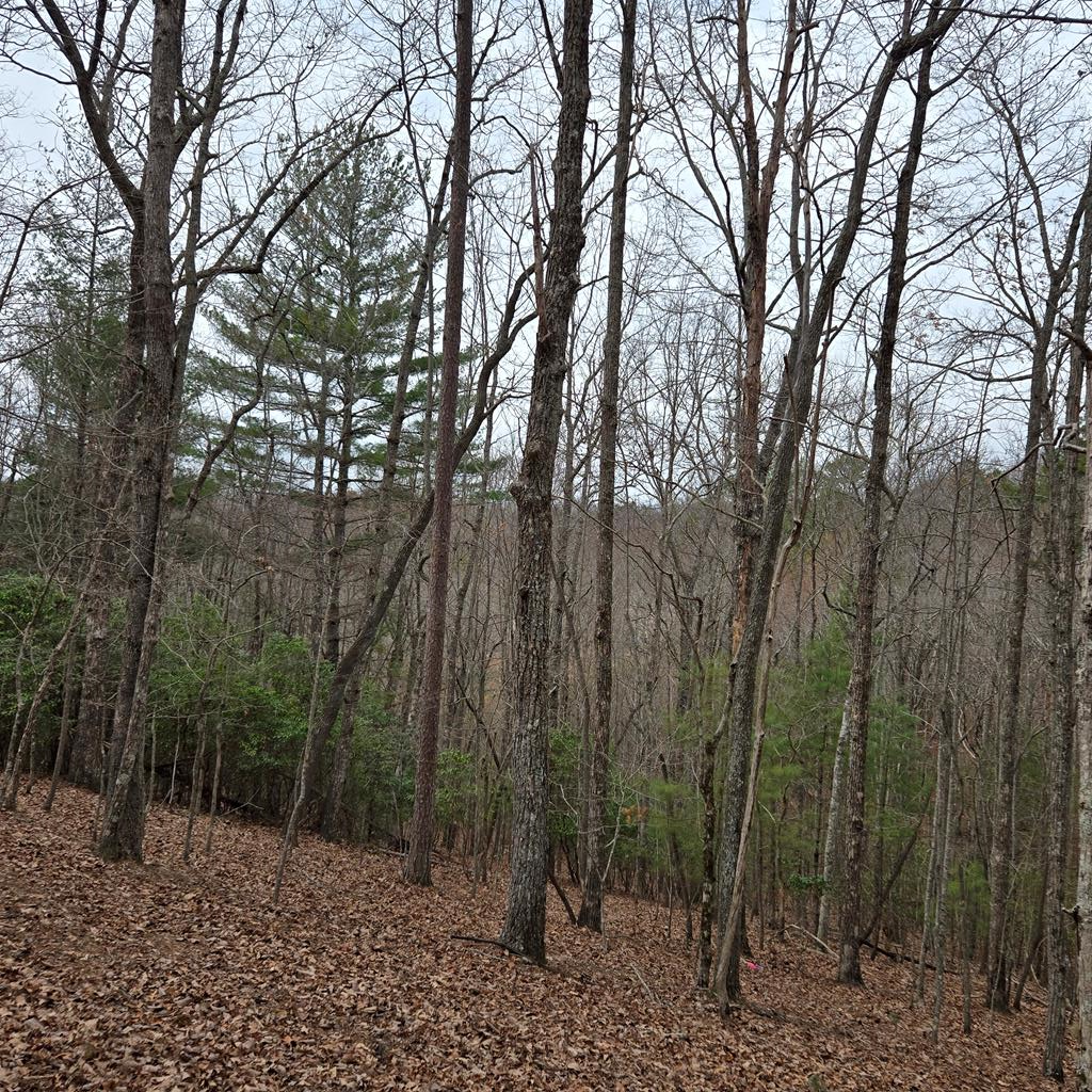8.5 Blue Berry Ridge Property Photo 17