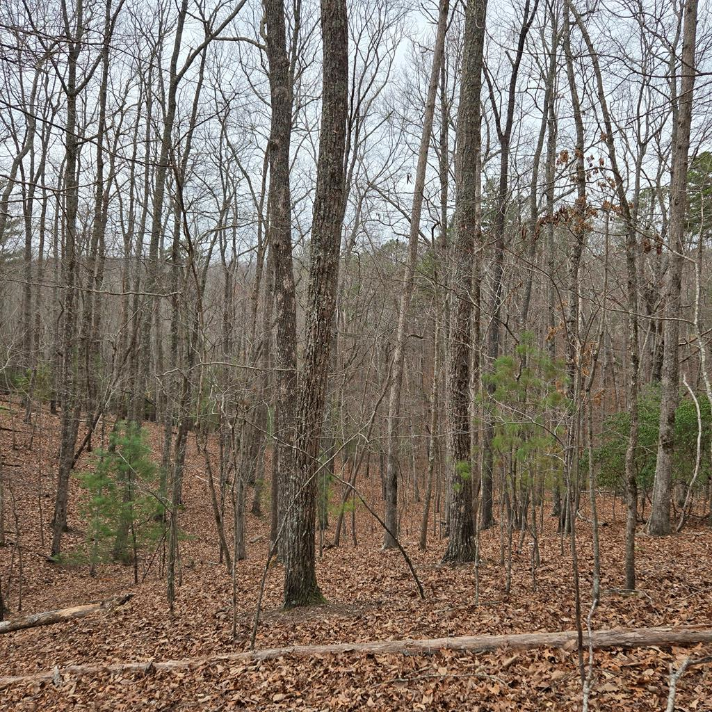8.5 Blue Berry Ridge Property Photo 20