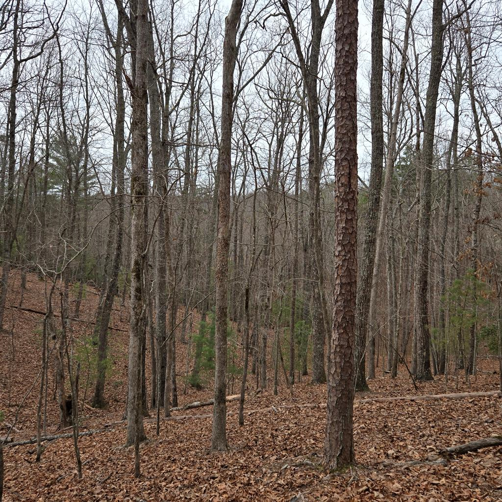 8.5 Blue Berry Ridge Property Photo 21
