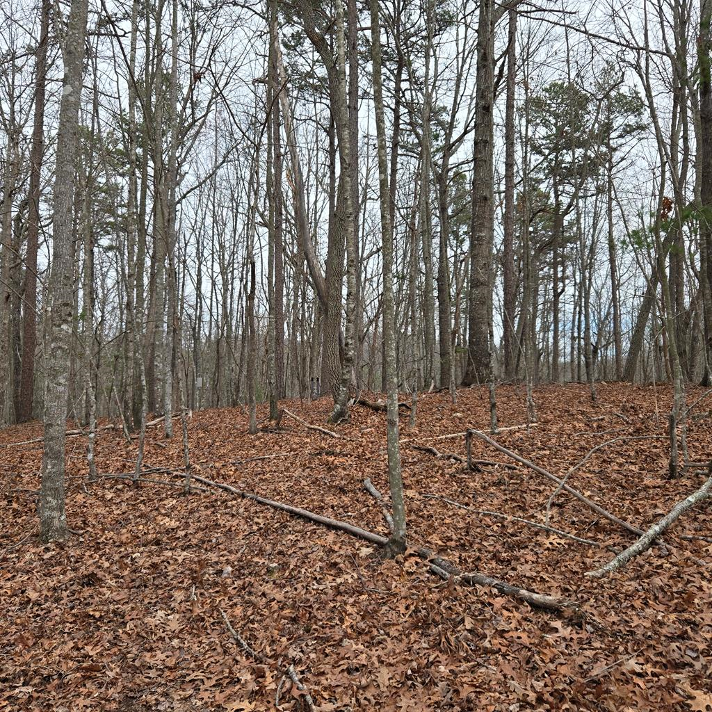 8.5 Blue Berry Ridge Property Photo 22