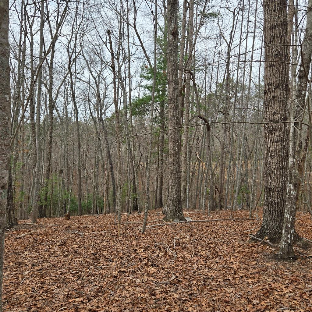 8.5 Blue Berry Ridge Property Photo 23