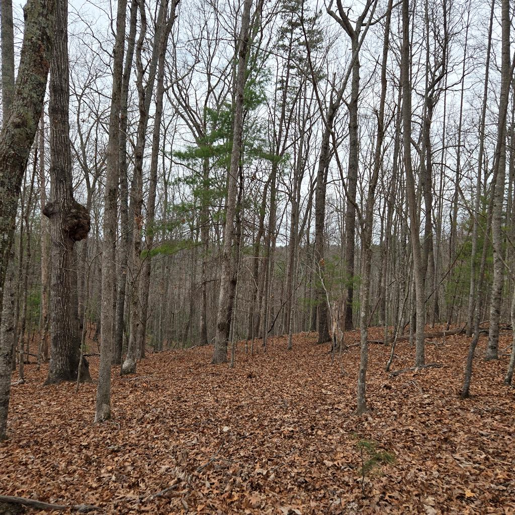 8.5 Blue Berry Ridge Property Photo 26