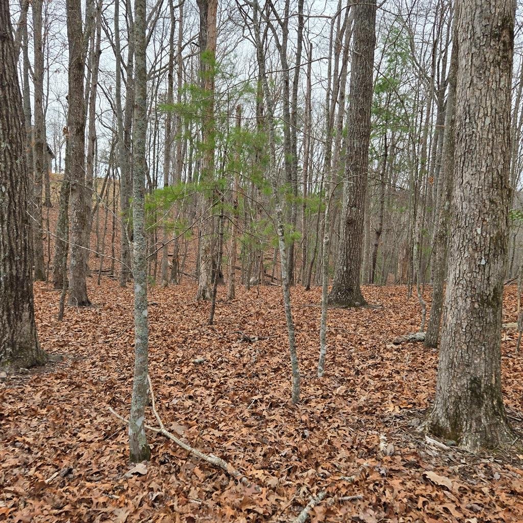 8.5 Blue Berry Ridge Property Photo 27