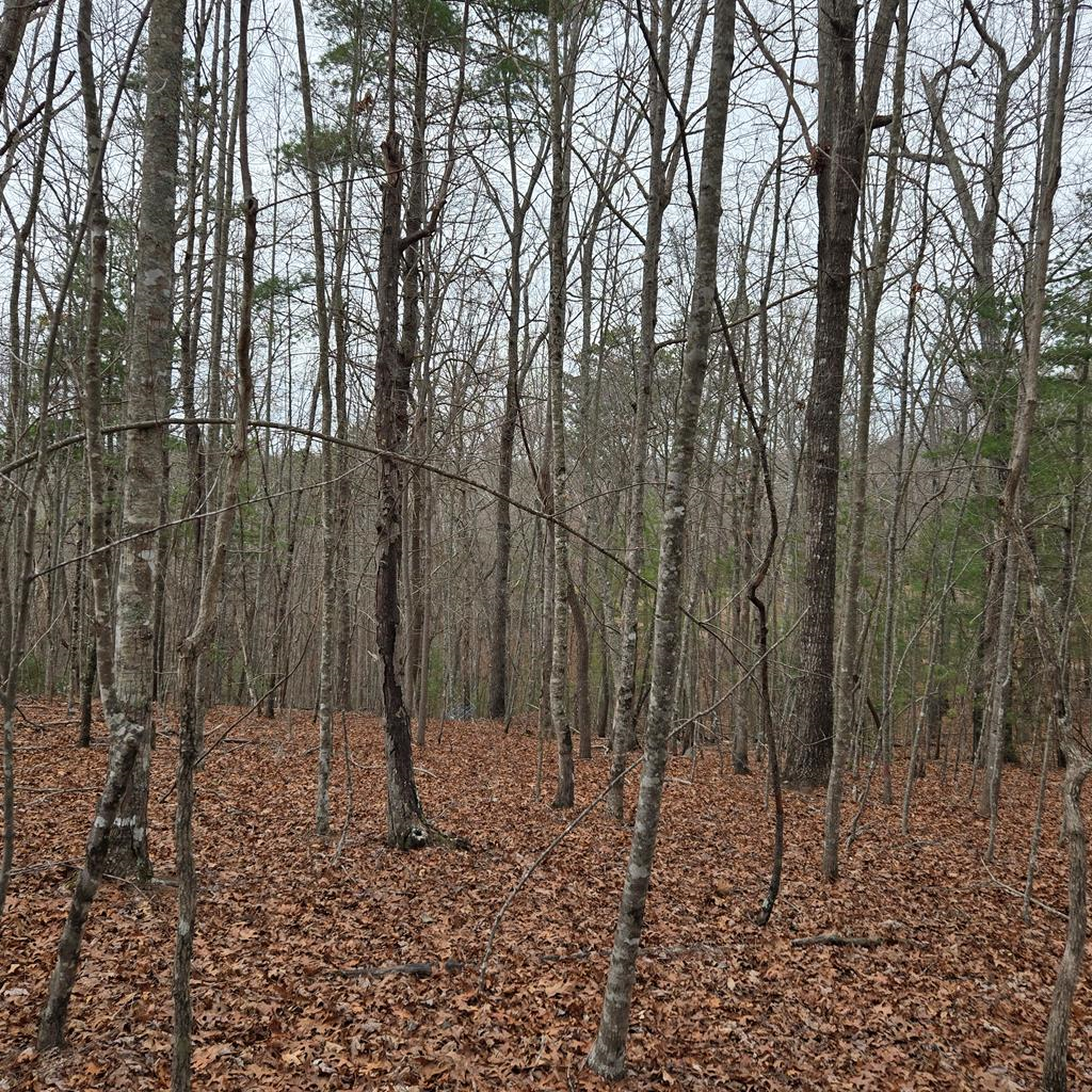 8.5 Blue Berry Ridge Property Photo 28